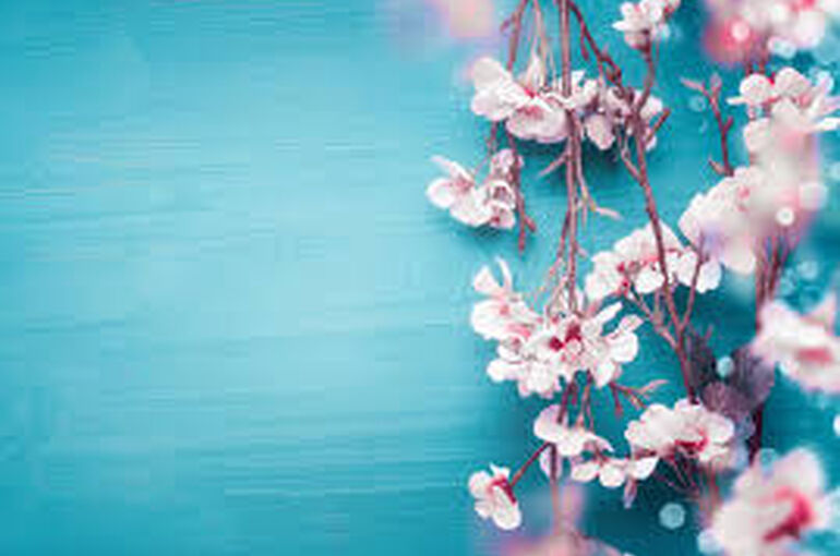 360_F_242116703_N7Q9aYVrCU6jZELgkLlda7yf0YFjS5Ff