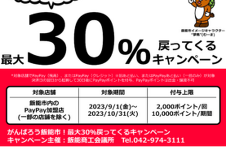 h飯能市paypayキャンペーン